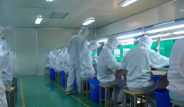 麻豆成人在线模组