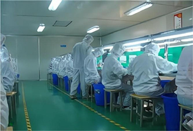 麻豆成人在线模组